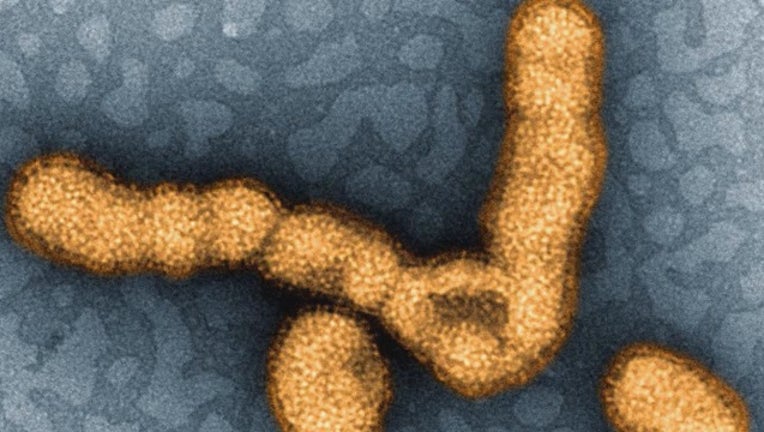 P FLU VACCINE SUPPLY STUDY 5P _WAGA35a2_146.mxf_00.00.31.01_1547607551104.png-404959.jpg