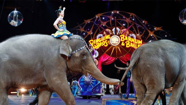 Ringling-Bros-circus_1462136154540.jpg