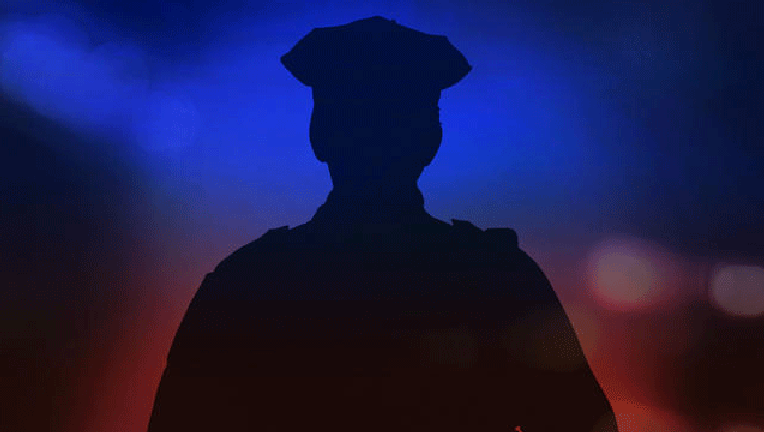 Cop Officer Shadow.gif