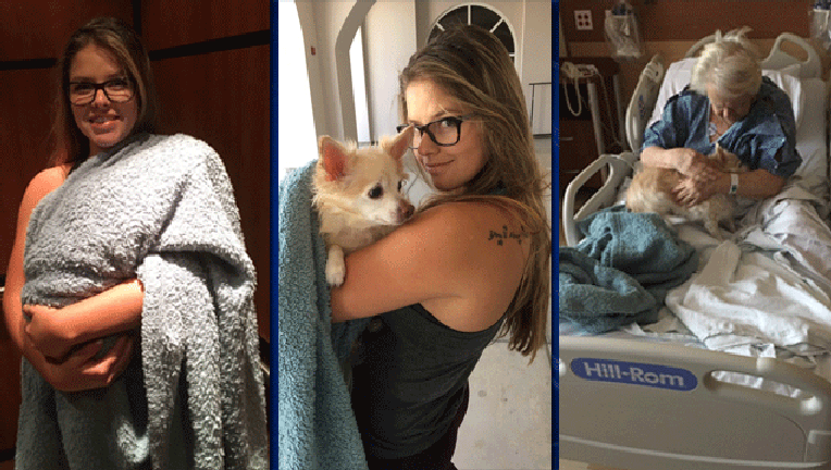 Woman-sneaks-dog-into-hospital_1497476669785.gif