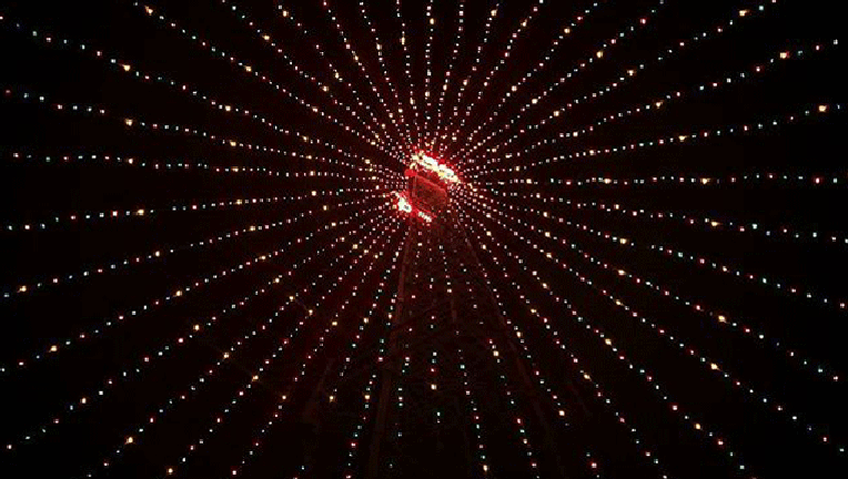 Zilker Tree_1480303141949.gif