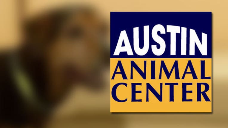 austinanimaldog_1444325478123.jpg