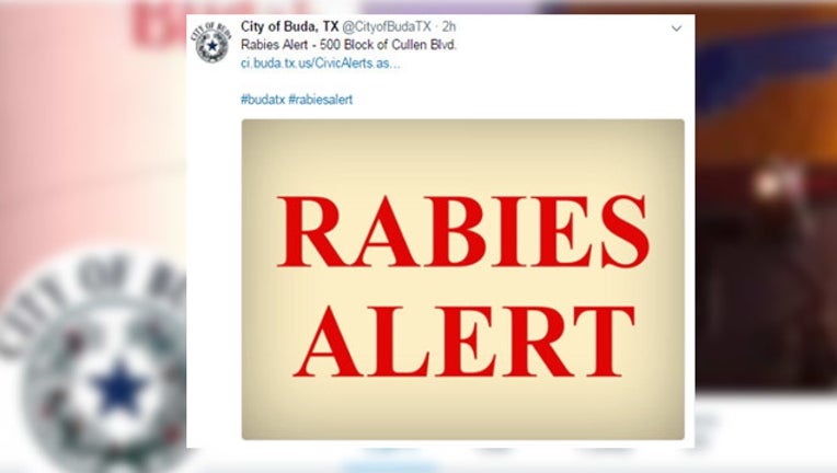 buda rabies_1497638319181.jpg