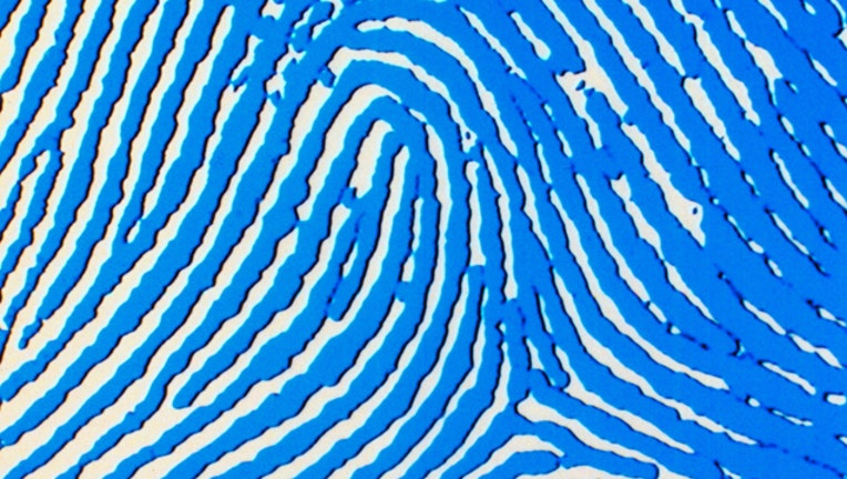 finger print_1440114101638.jpg