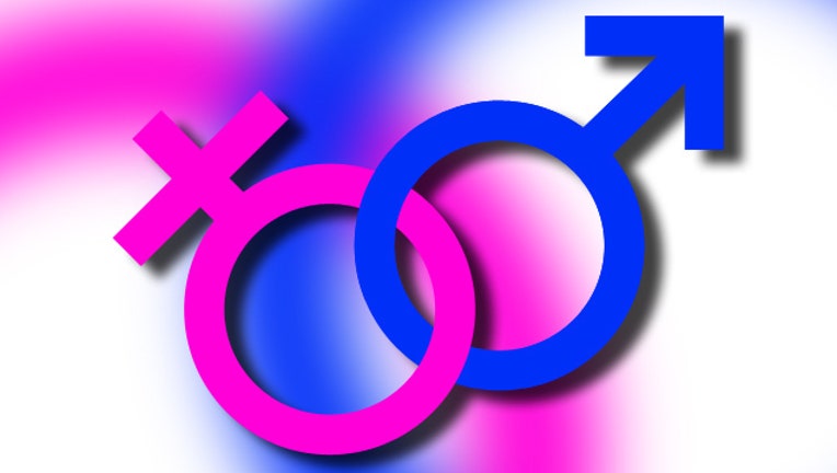 12eb72d4-gender generic_1450738219428.jpg