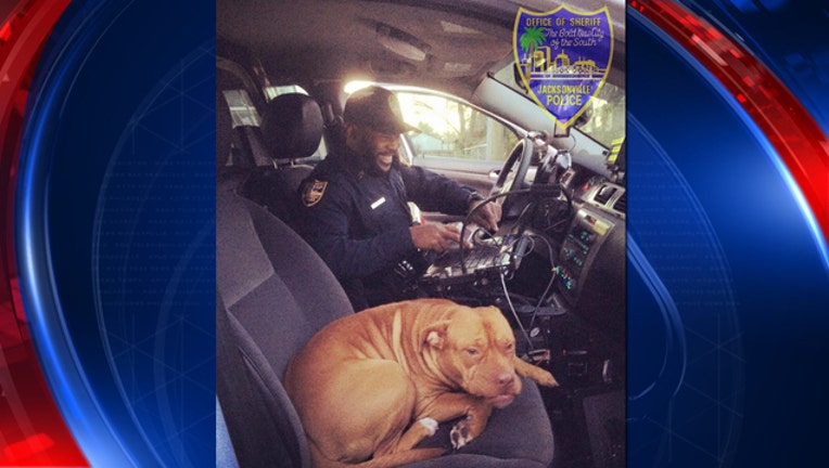 jacksonville pd_1455049755620-401385.jpg