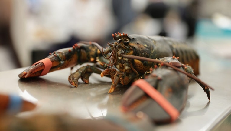 e6f53b70-GETTY Lobster 091918-401720