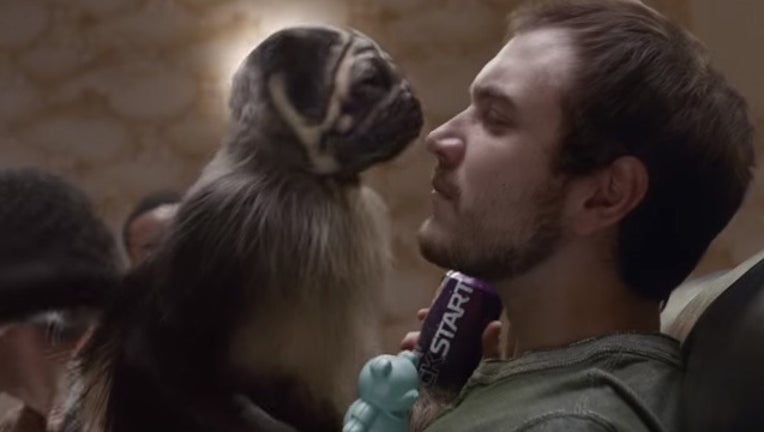 puppy baby monkey_1454947868258.jpg