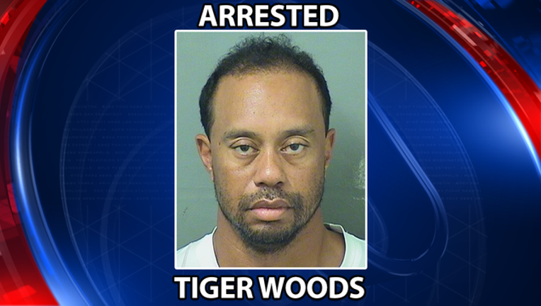 tiger woods arrested_1496073116282-402429.png