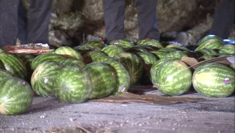 572f8280-watermelon1_1440681095170-409650.jpg