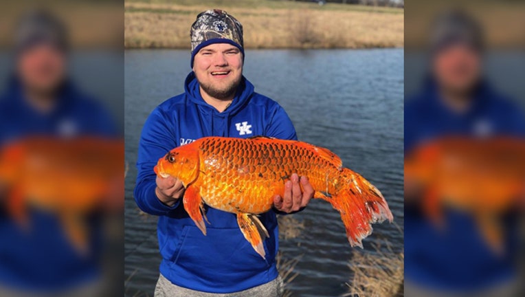 wjbk-huge goldfish biscuit schuyler skirvin-021319_1550069893364.jpg-65880.jpg