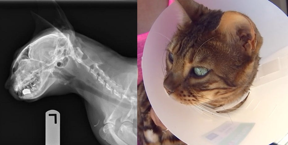 New laws taking effect in 2026: What you need to know