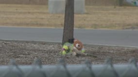 Two kids killed in separate auto-pedestrian crashes over weekend