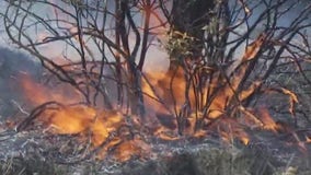 Homes catch on fire following controlled burn in Fayette County