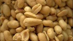 FDA approves first drug to help children struggling with peanut allergies