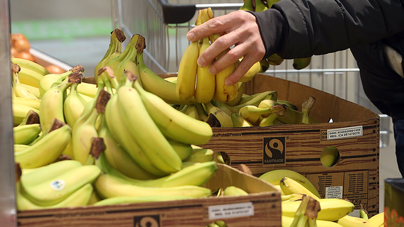 Banana pancake recipe from FOX 7 Austin's Tierra Neubaum