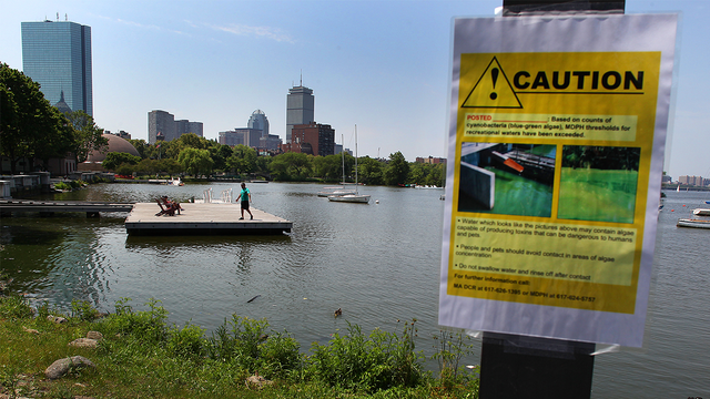 INCREASED RISK: City of Austin increases risk level for harmful algae