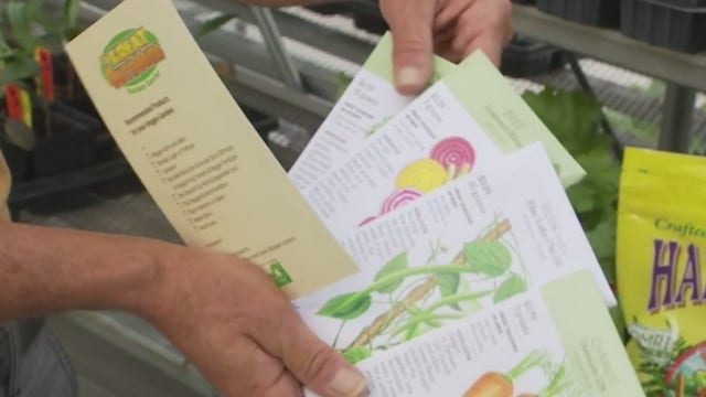 Your Garden: Planting Fall Vegetables