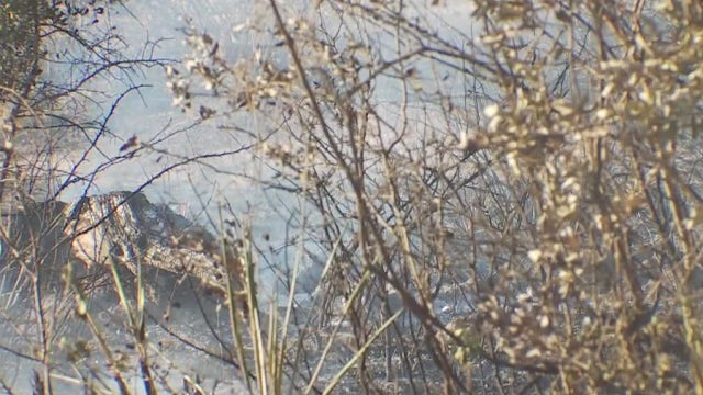 Manchaca brush fire burns 75 acres of grassland