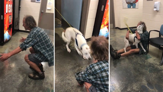 Bobo, a once-lost dog, is ecstatic when finding owner