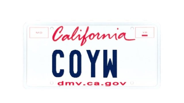 Judge rules man can sue after DMV rejects specialty license plate