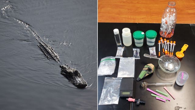 Police department warns residents that flushing drugs could create ‘meth-gators'