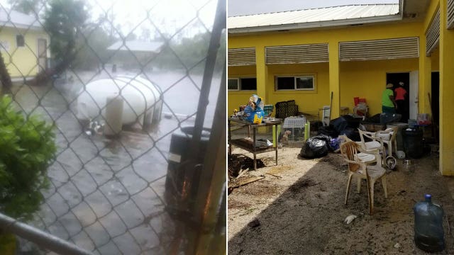 Hurricane Dorian's powerful storm surge kills 220 dogs, 50 cats at animal shelter in Bahamas