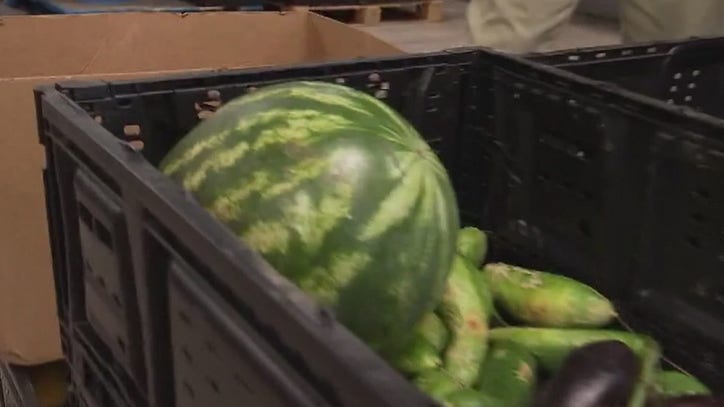 Save The Food Austin Works To Divert Food From Landfills To