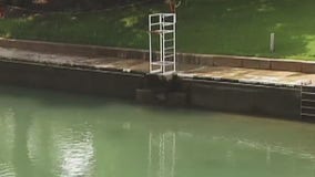 City of Austin looking to install gates in the upstream dam of the Barton Springs Pool