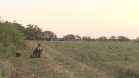 Residents in Jarrell hit with birdshot as dove season begins in Central Texas