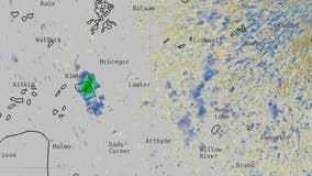 Flock of 600,000 ducks appears on National Weather Service radar near Duluth