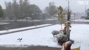 Snow falls in Texas Panhandle