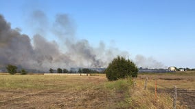 Hutto grass fire prompts evacuations