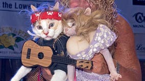 Cats win Halloween costume contest dressed as Dolly Parton, Willie Nelson