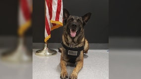 Sheriff's office K-9 finds missing 3-year-old within 10 minutes