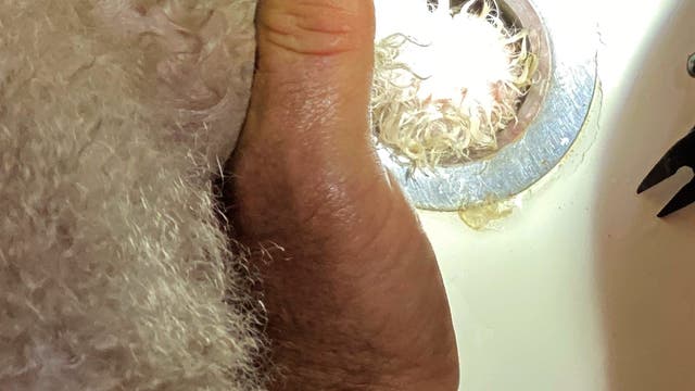 Austin Fire Dept saves pup's paw from drain