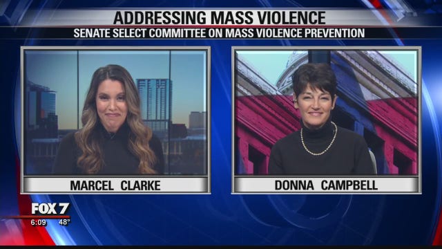 FOX 7 Discussion: Addressing mass violence