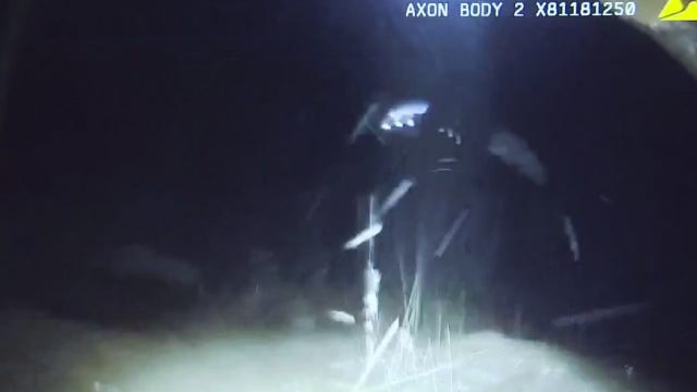 Caught on camera: South Austin water rescue takes dangerous turn