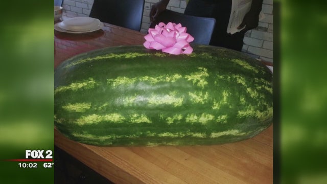 Detroit firefighter fired for bringing watermelon to station