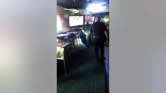 Deputies called to gator in a bar in Safety Harbor
