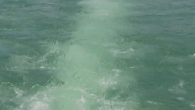 Body of missing boater found in Lake Travis