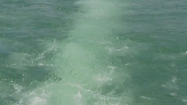 Search continues for missing swimmer on Lake Travis