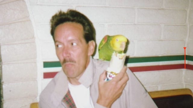 Man devastated after pet parrot he's had for 37 years stolen