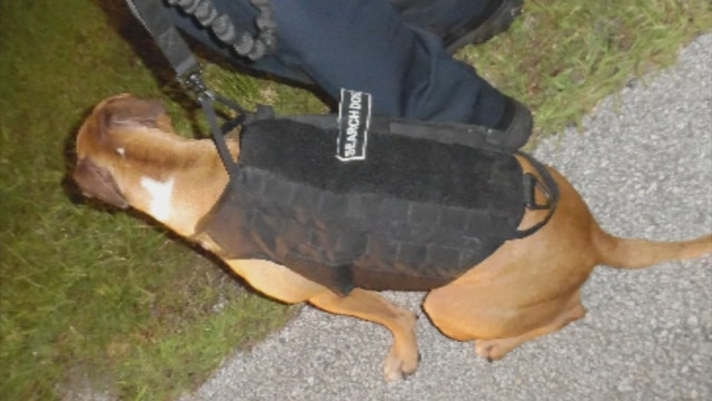 Police: Man impersonated cop, complete with K9