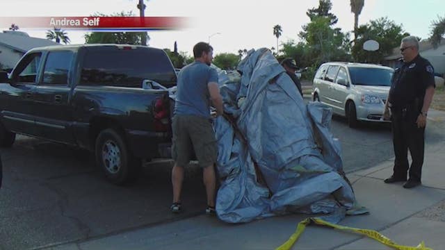FAA confirms rescue slide fell from jet