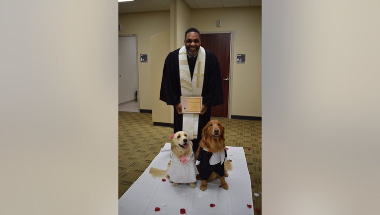 daaaf62d-Peaches and Duke attend their wedding at Methodist Mansfield Medical Center