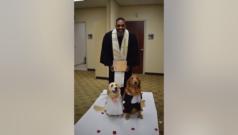 daaaf62d-Peaches and Duke attend their wedding at Methodist Mansfield Medical Center