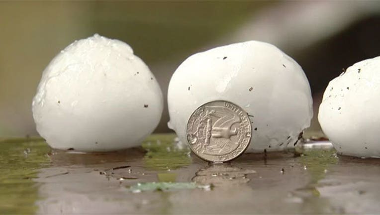 1355eaf5-hail-zoo_1533654849405-402970.jpg