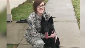 Air Force veteran brings military working dog home for the holidays