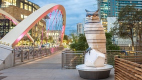 New interactive owl sculptures turn heads in Downtown Austin